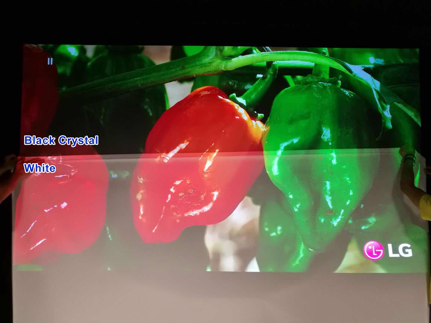 XY Screens rejecting slim bezel ambient light projector screen hg