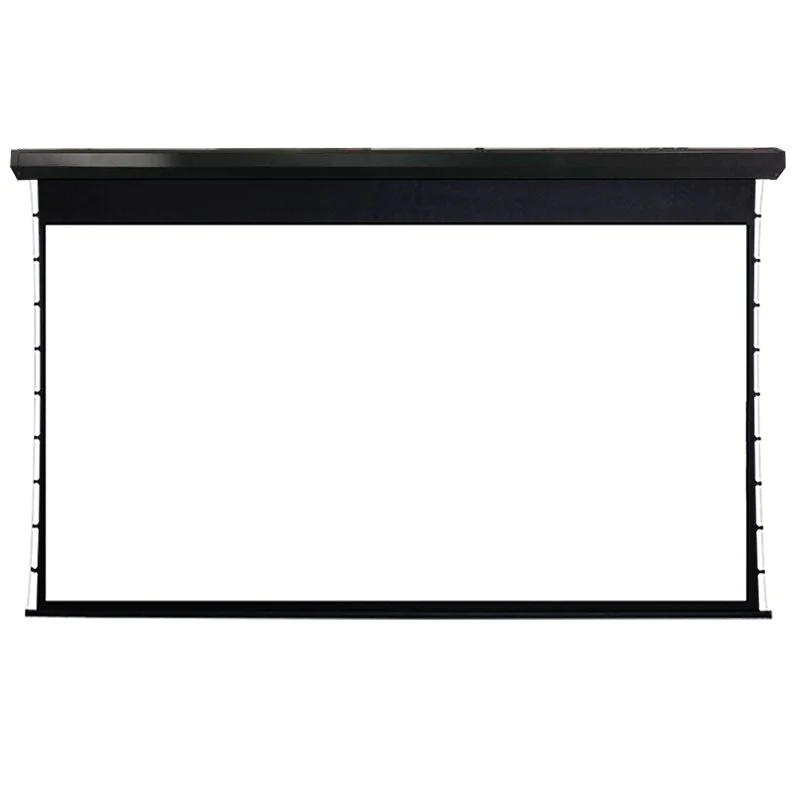 Large Project Motorized Projection Screen LC2 Series