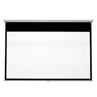 Pull Down Projector Screen for School RSM64