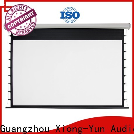 retractable Home theater projection screen personalized for home