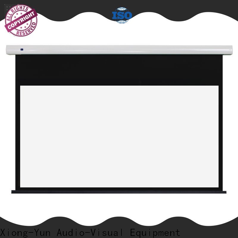 XY Screens tab tensioned projector screen personalized for household