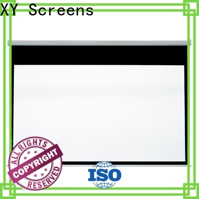 vivid pull down screen with good price for students