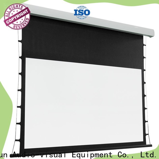 XY Screens tab tensioned projector screen factory price for home