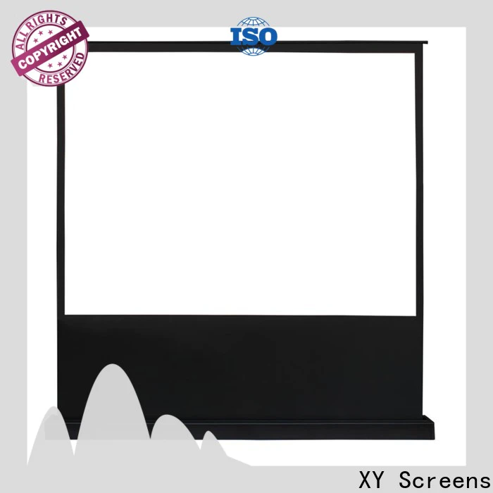XY Screens portable pull up projector screen with good price for household