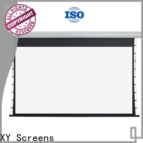 manual tensioned projector screen personalized for living room