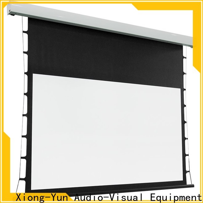 XY Screens tab tensioned projector screen personalized for household