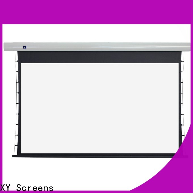 XY Screens manual tab tensioned projector screen factory price for living room
