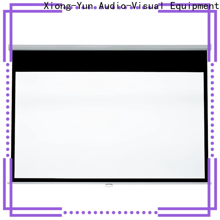 XY Screens vivid pull down projector screen inquire now for classroom