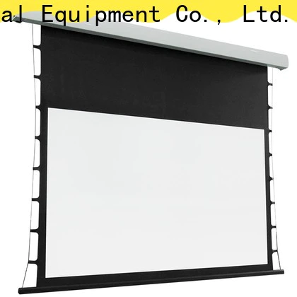 inceiling theater screen inquire now for living room