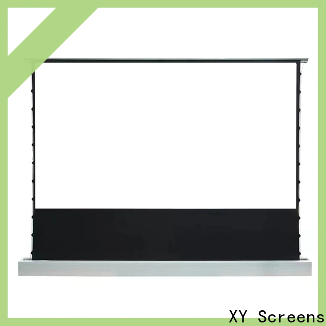 XY Screens pull up projector screen factory for household