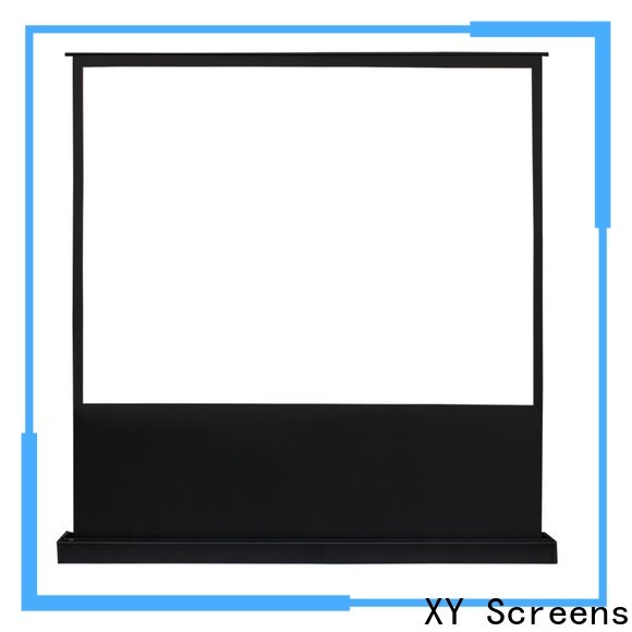 XY Screens floor rising screen inquire now for living room