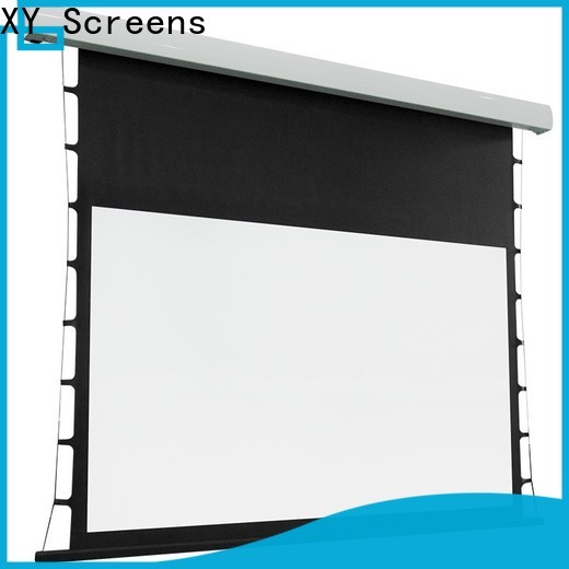 inceiling fixed projector screen design for home