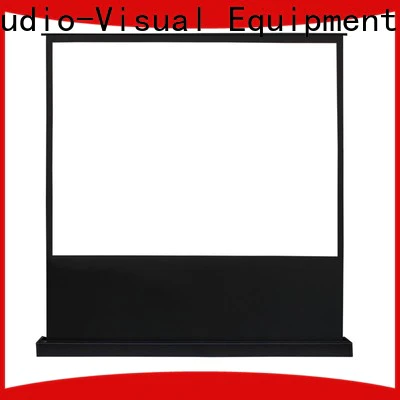 XY Screens rising portable pull up projector screen factory for living room