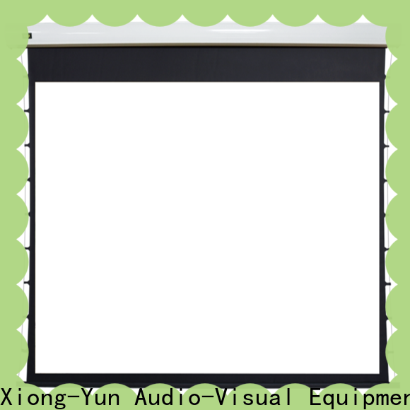 stable motorized projector screen personalized for theater