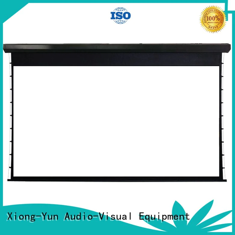 project large portable projector screen XY Screens movie projector price