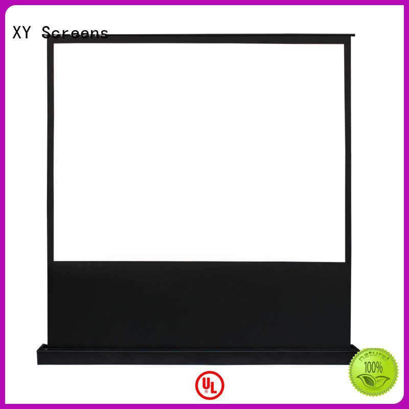 Wholesale screen pull up projector screen XY Screens Brand